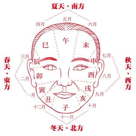 火形人|【面相学】一看就会的五行识人